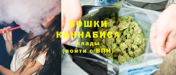 spice Каменка