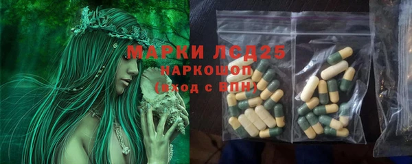 молекула духа Каменск-Шахтинский