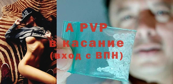 молекула духа Каменск-Шахтинский