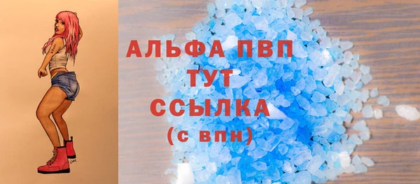 spice Каменка