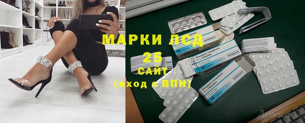 молекула духа Каменск-Шахтинский