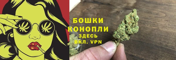 молекула духа Каменск-Шахтинский