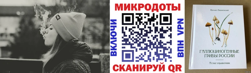 Галлюциногенные грибы Cubensis  Купить где  Неман 